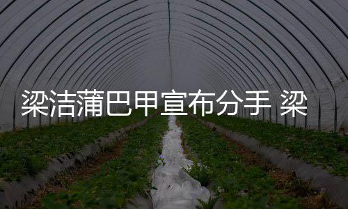 布分么时蒲巴蒲巴梁洁梁洁的甲宣甲什手 一起候在